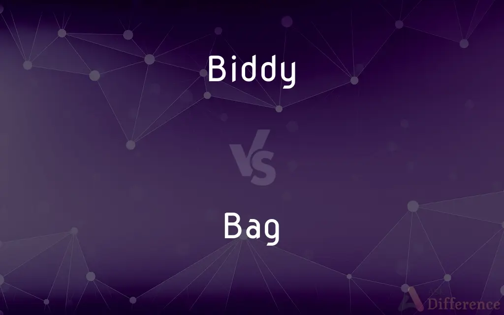 Biddy vs. Bag — What's the Difference?