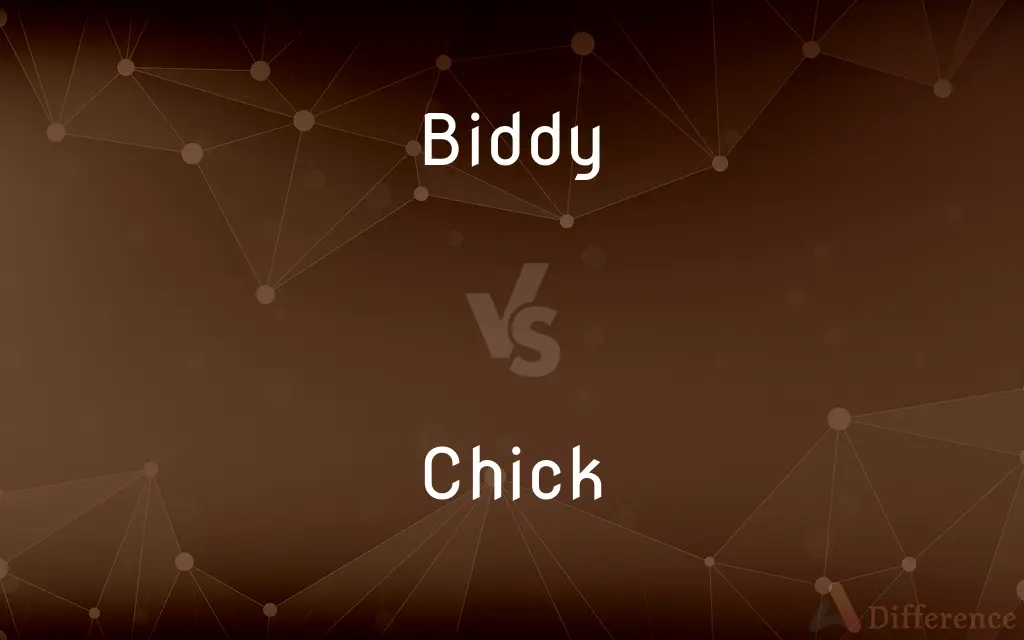 Biddy vs. Chick — What's the Difference?