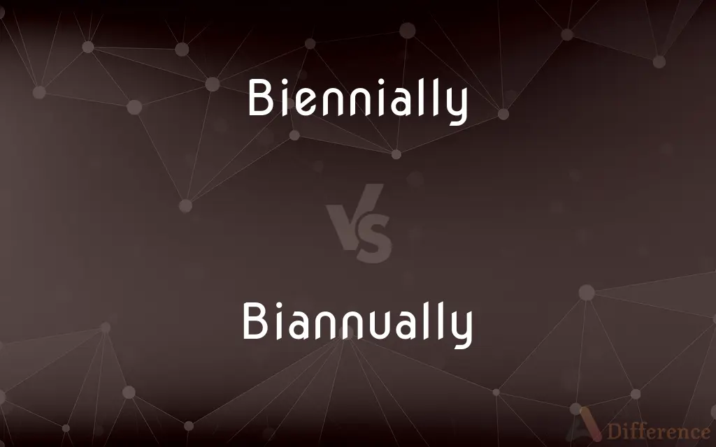 Biennially vs. Biannually — What's the Difference?