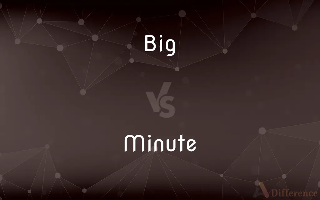 Big vs. Minute — What's the Difference?