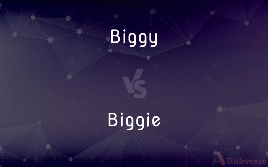 Biggy vs. Biggie — Which is Correct Spelling?