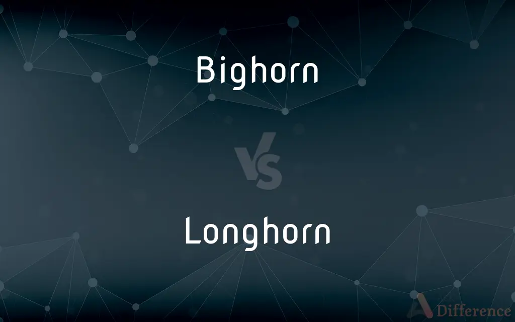 Bighorn vs. Longhorn — What's the Difference?