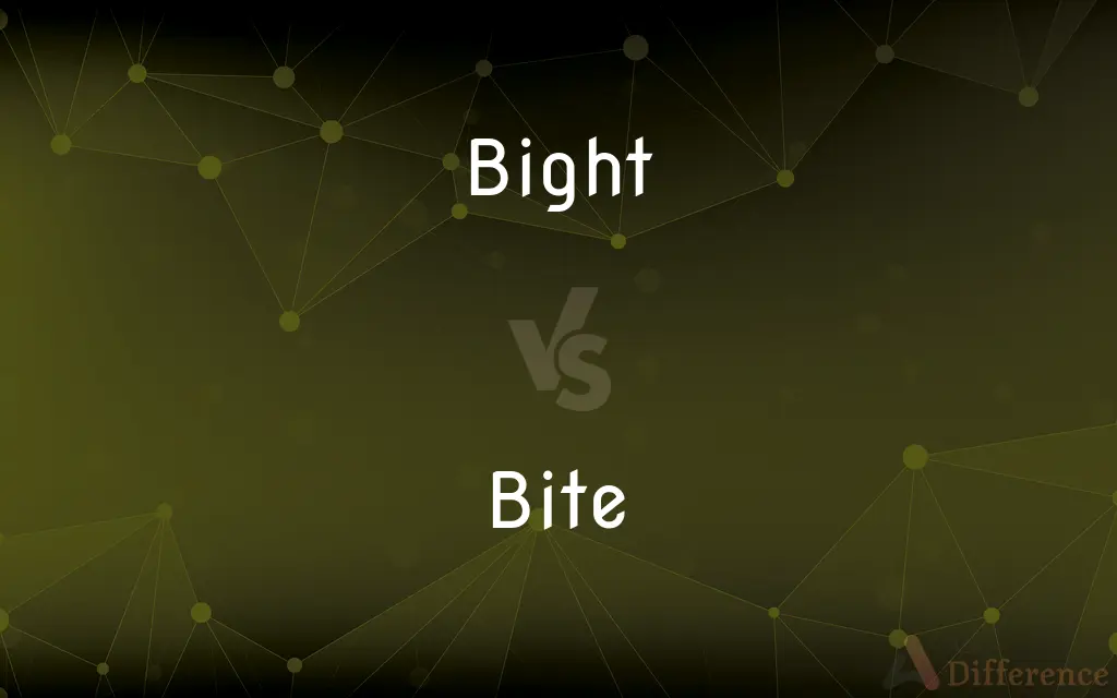 Bight vs. Bite — What's the Difference?