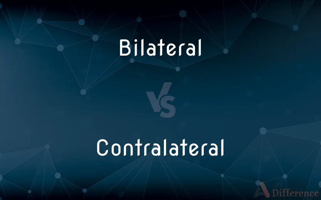 Bilateral vs. Contralateral — What's the Difference?
