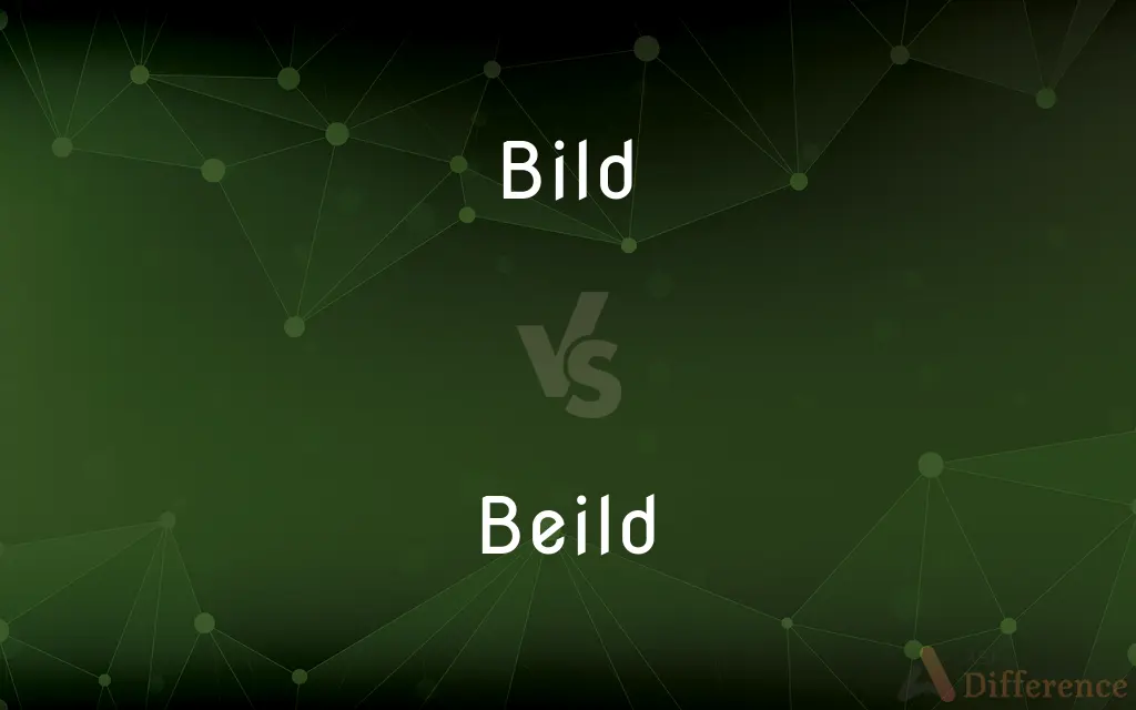 Bild vs. Beild — Which is Correct Spelling?