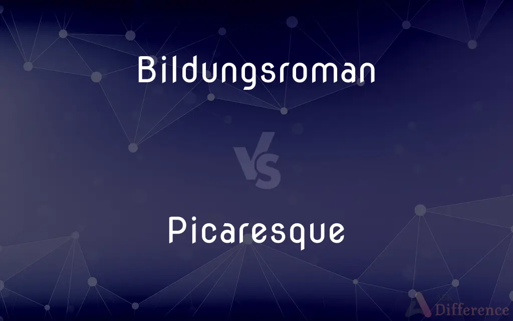 Bildungsroman vs. Picaresque — What's the Difference?