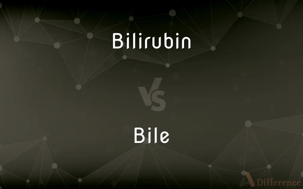 Bilirubin vs. Bile — What's the Difference?