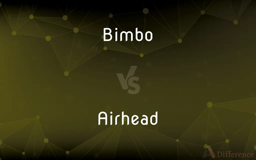 Bimbo vs. Airhead — What's the Difference?