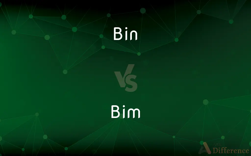 Bin vs. Bim — What's the Difference?