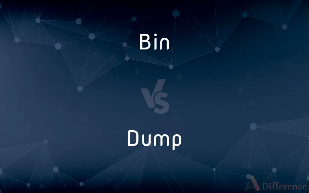 Bin vs. Dump — What's the Difference?