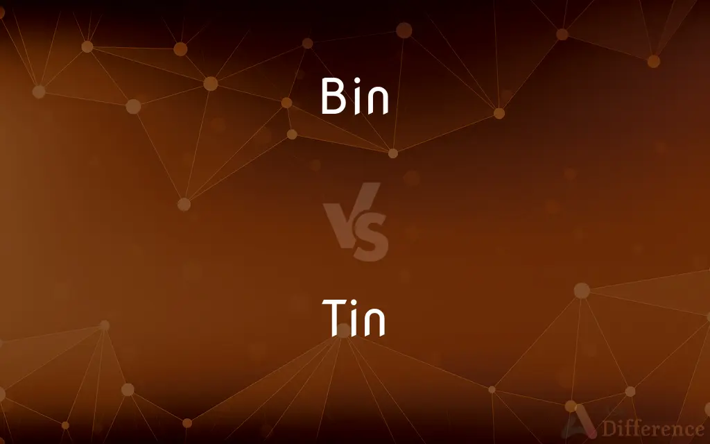 Bin vs. Tin — What's the Difference?