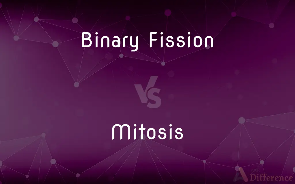 Binary Fission vs. Mitosis — What's the Difference?