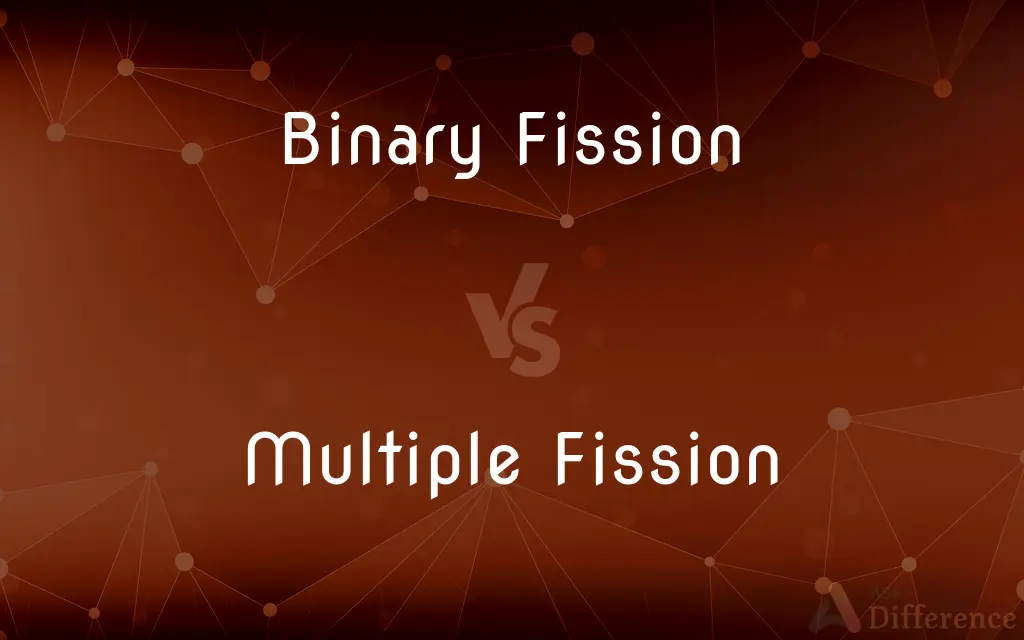 Binary Fission vs. Multiple Fission — What's the Difference?