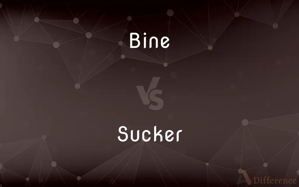 Bine vs. Sucker — What's the Difference?
