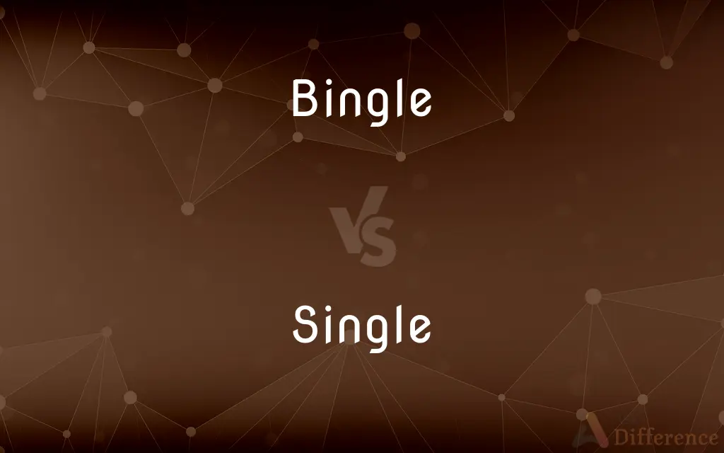Bingle vs. Single — What's the Difference?