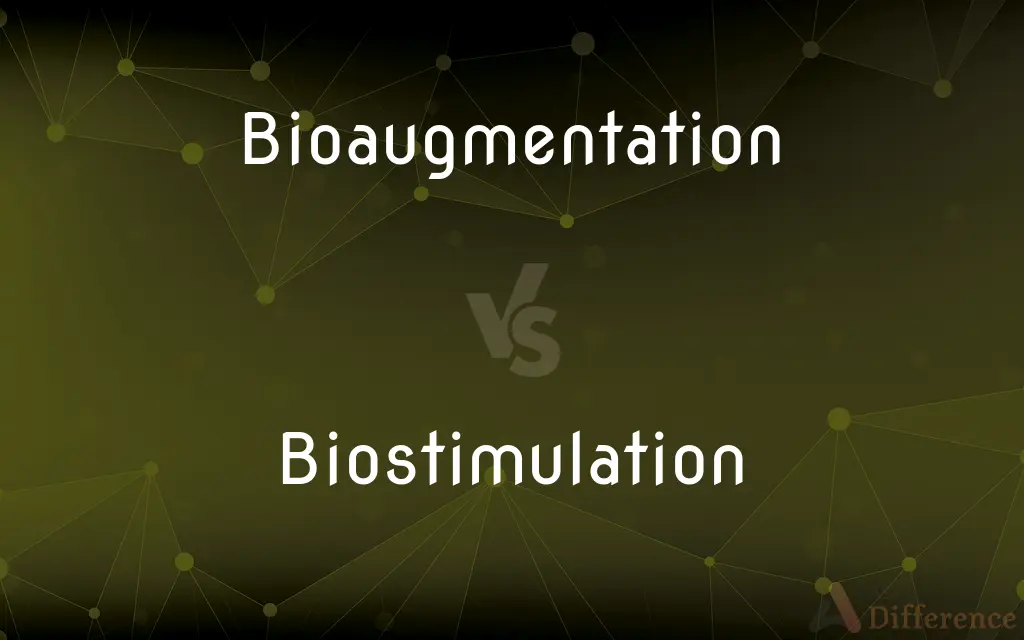 Bioaugmentation vs. Biostimulation — What's the Difference?