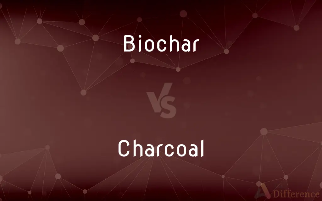 Biochar vs. Charcoal — What's the Difference?