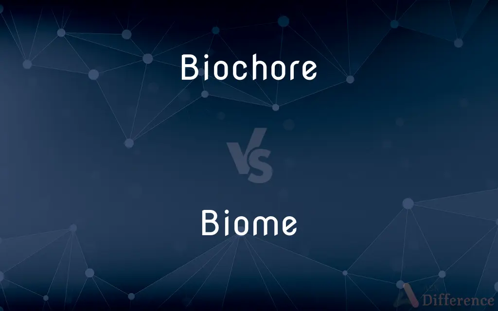 Biochore vs. Biome — What's the Difference?