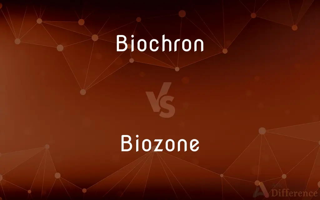 Biochron vs. Biozone — What's the Difference?