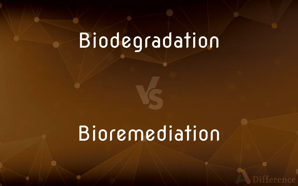 Biodegradation vs. Bioremediation — What's the Difference?