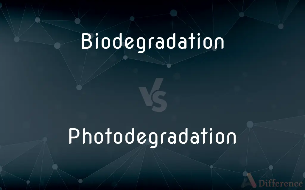 Biodegradation vs. Photodegradation — What's the Difference?