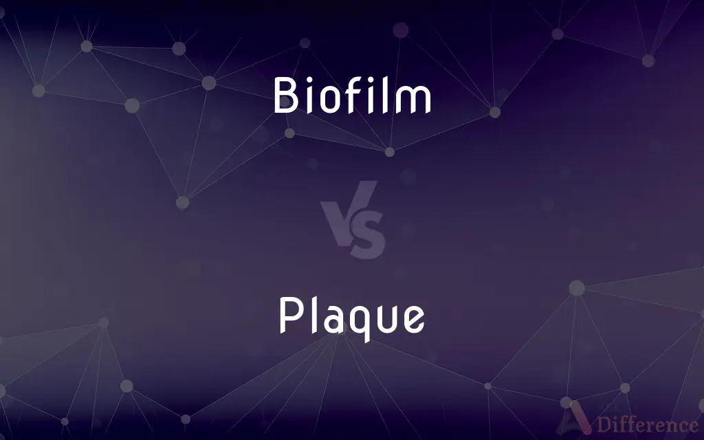 Biofilm vs. Plaque — What's the Difference?