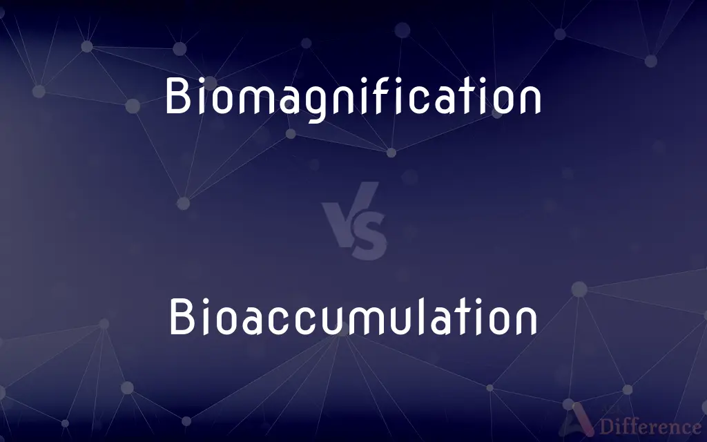 Biomagnification vs. Bioaccumulation — What's the Difference?