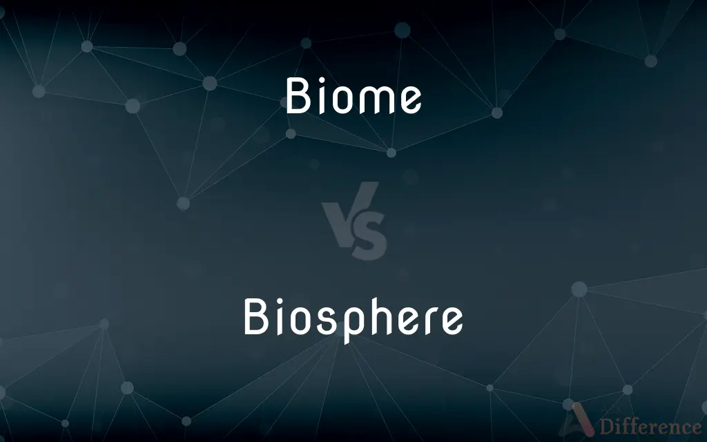 Biome vs. Biosphere — What's the Difference?