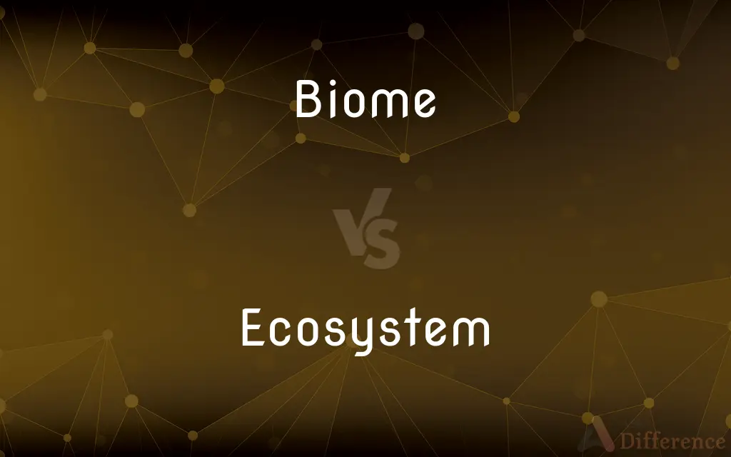 Biome vs. Ecosystem — What's the Difference?