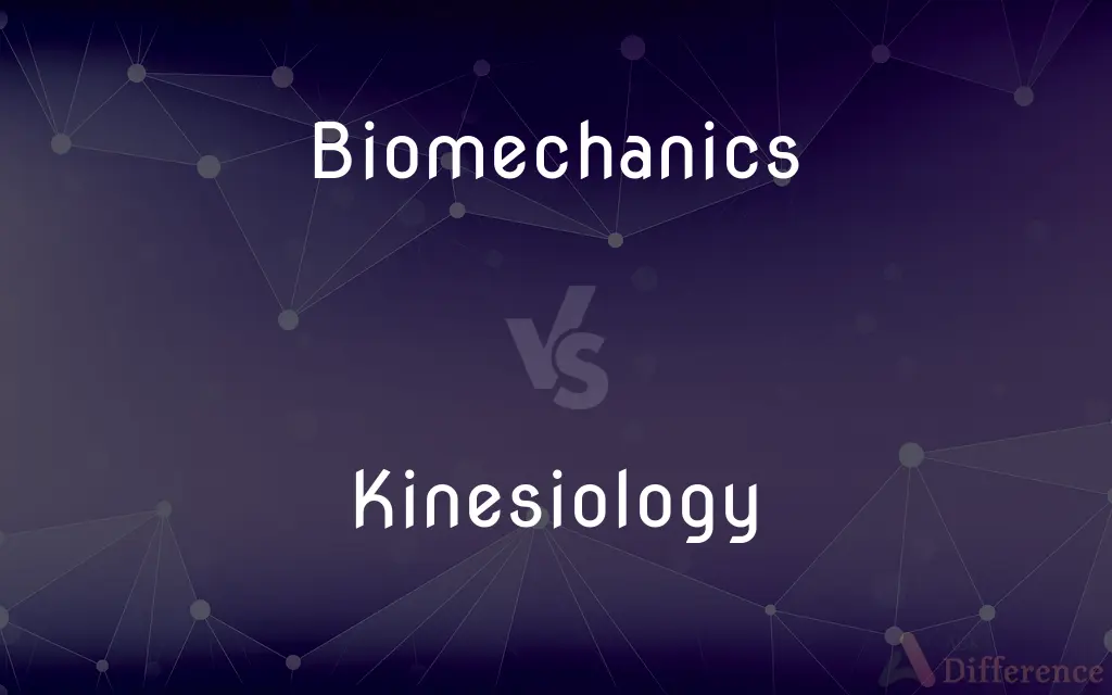 Biomechanics vs. Kinesiology — What's the Difference?