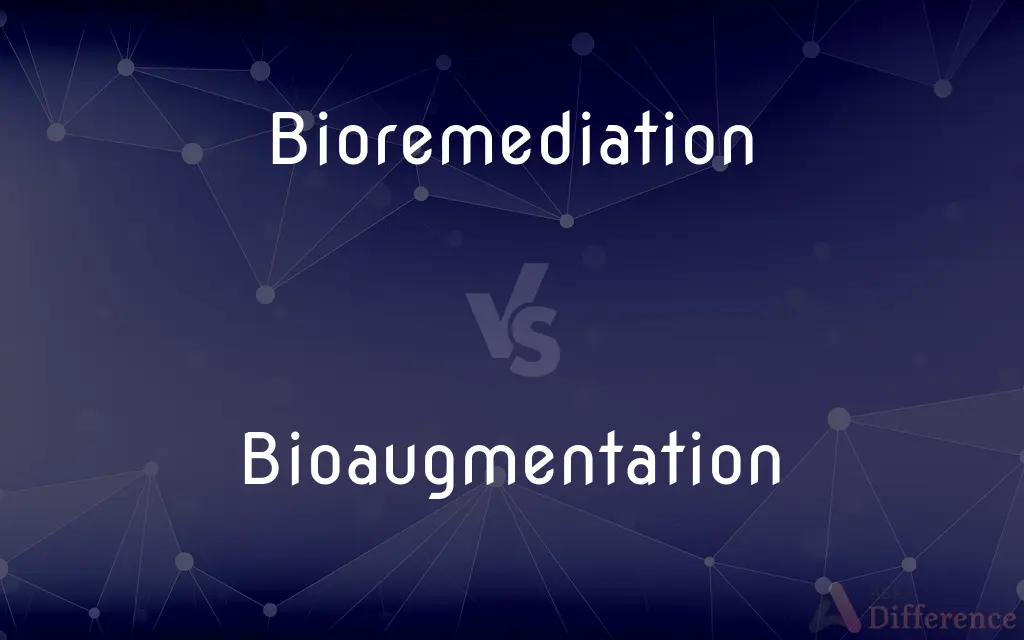 Bioremediation vs. Bioaugmentation — What's the Difference?