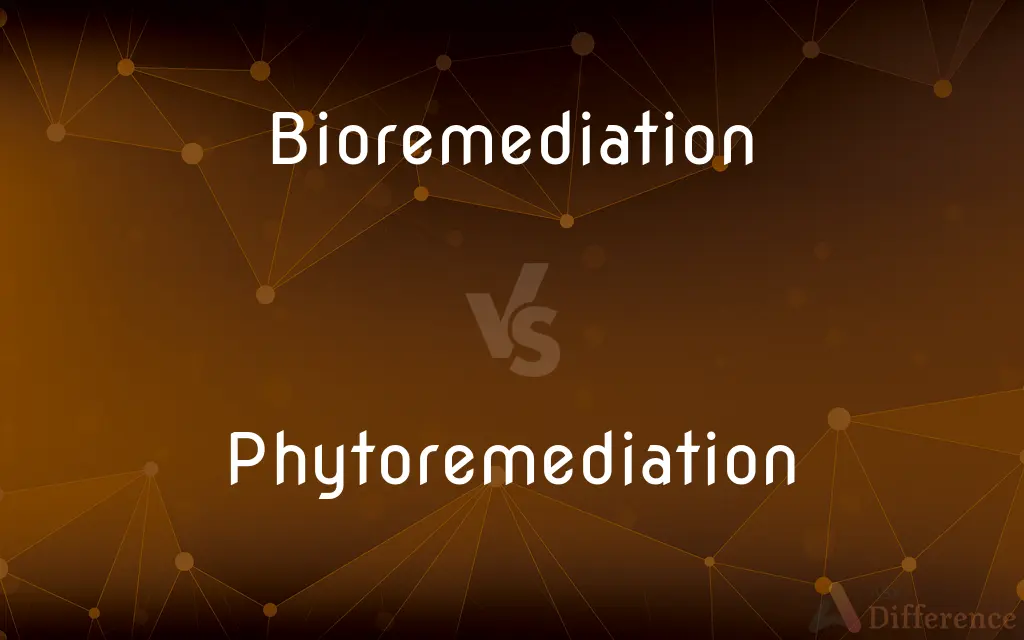 Bioremediation vs. Phytoremediation — What's the Difference?