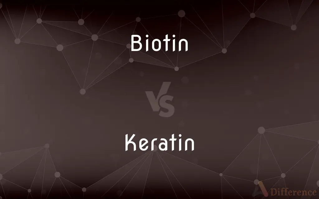 Biotin vs. Keratin — What's the Difference?