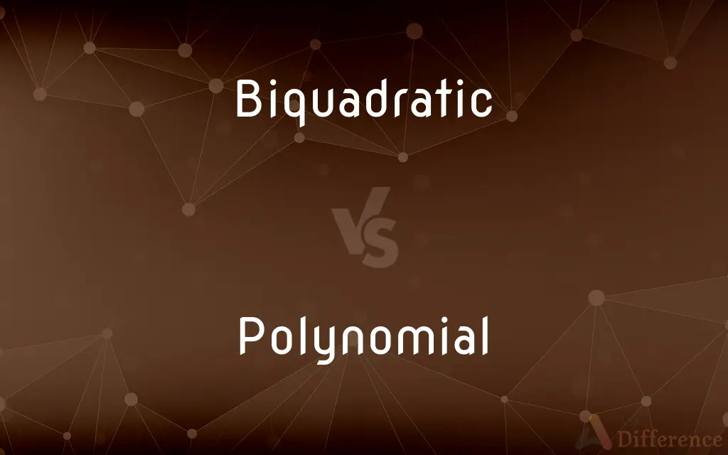 Biquadratic vs. Polynomial — What's the Difference?