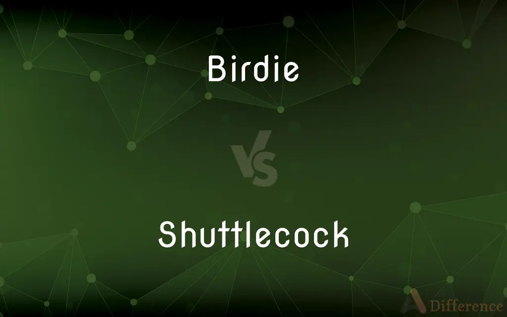 Birdie vs. Shuttlecock — What's the Difference?