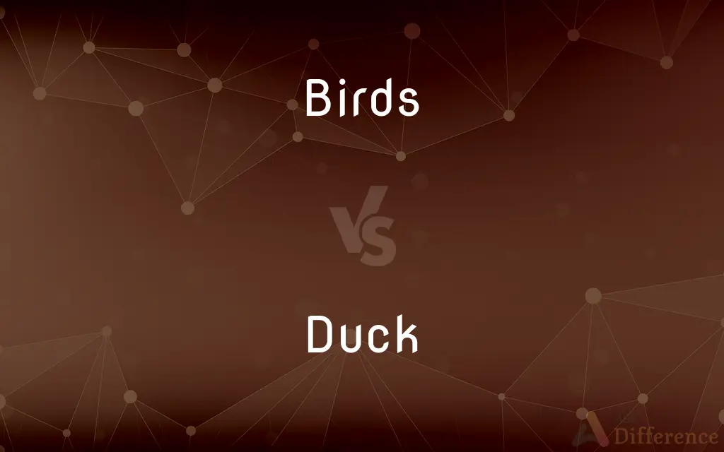 Birds vs. Duck — What's the Difference?