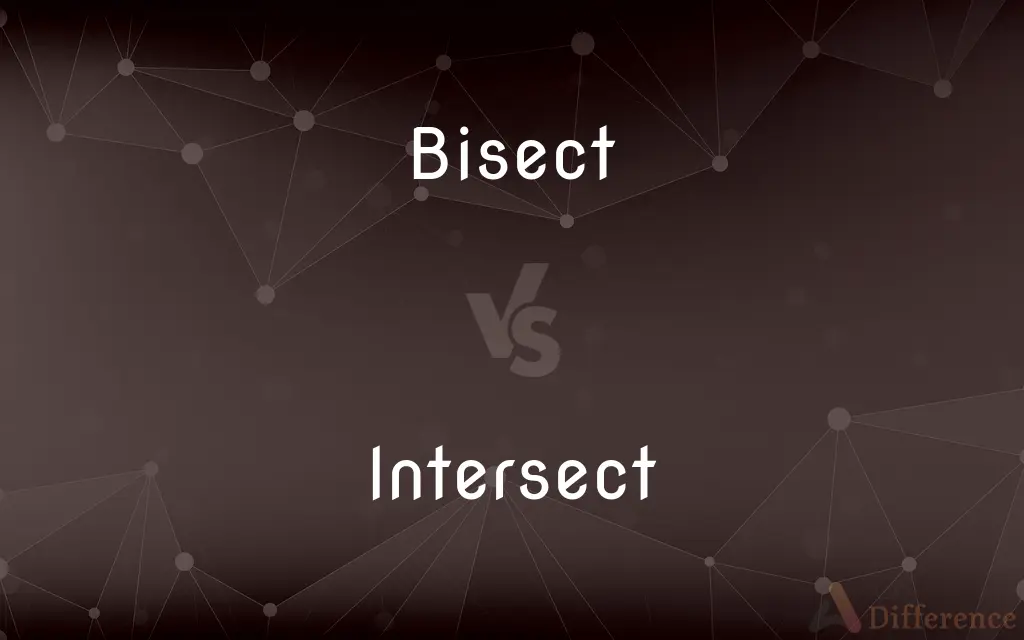 Bisect vs. Intersect — What's the Difference?