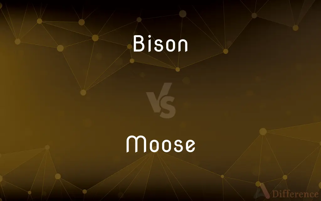 Bison vs. Moose — What's the Difference?