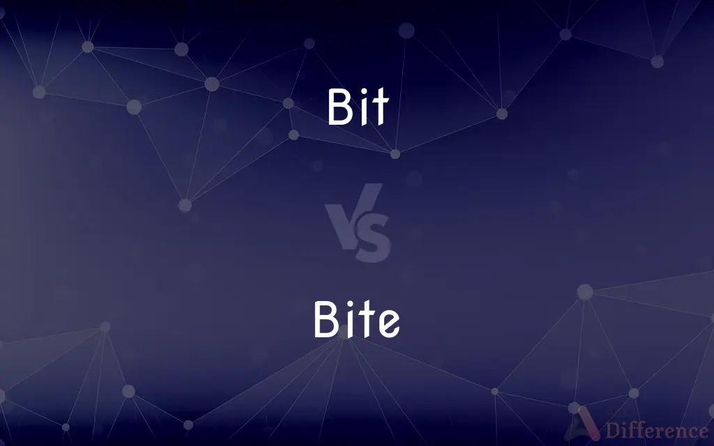 Bit vs. Bite — What's the Difference?