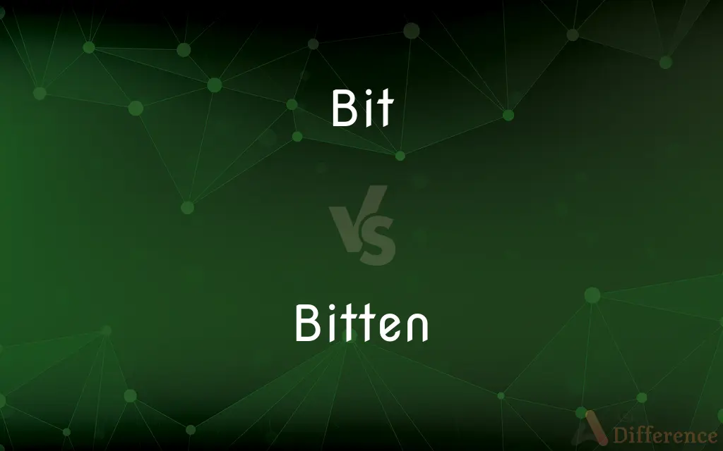 Bit vs. Bitten — What's the Difference?