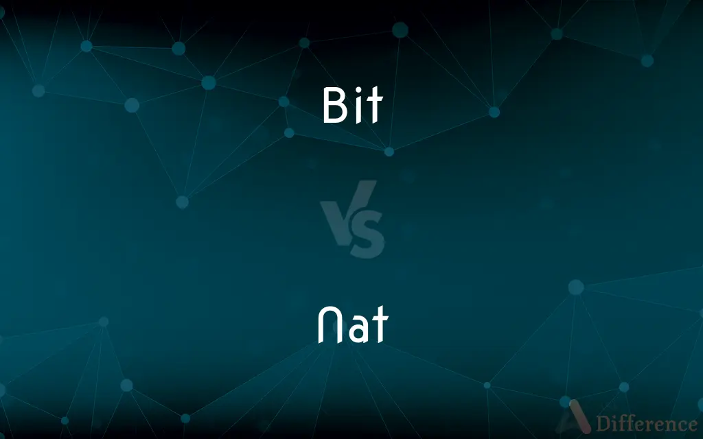 Bit vs. Nat — What's the Difference?