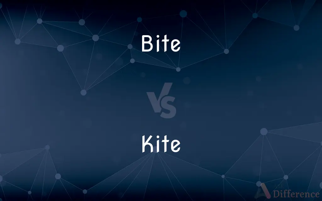 Bite vs. Kite — What's the Difference?