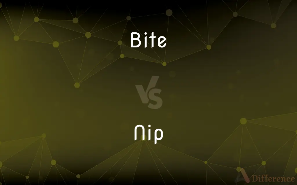 Bite vs. Nip — What's the Difference?