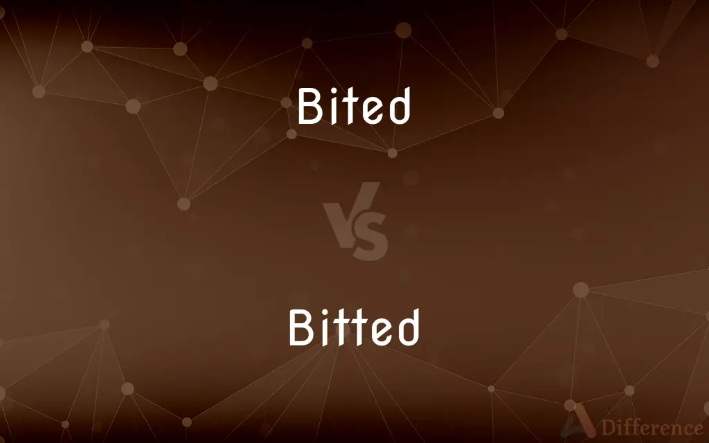Bited vs. Bitted — What's the Difference?