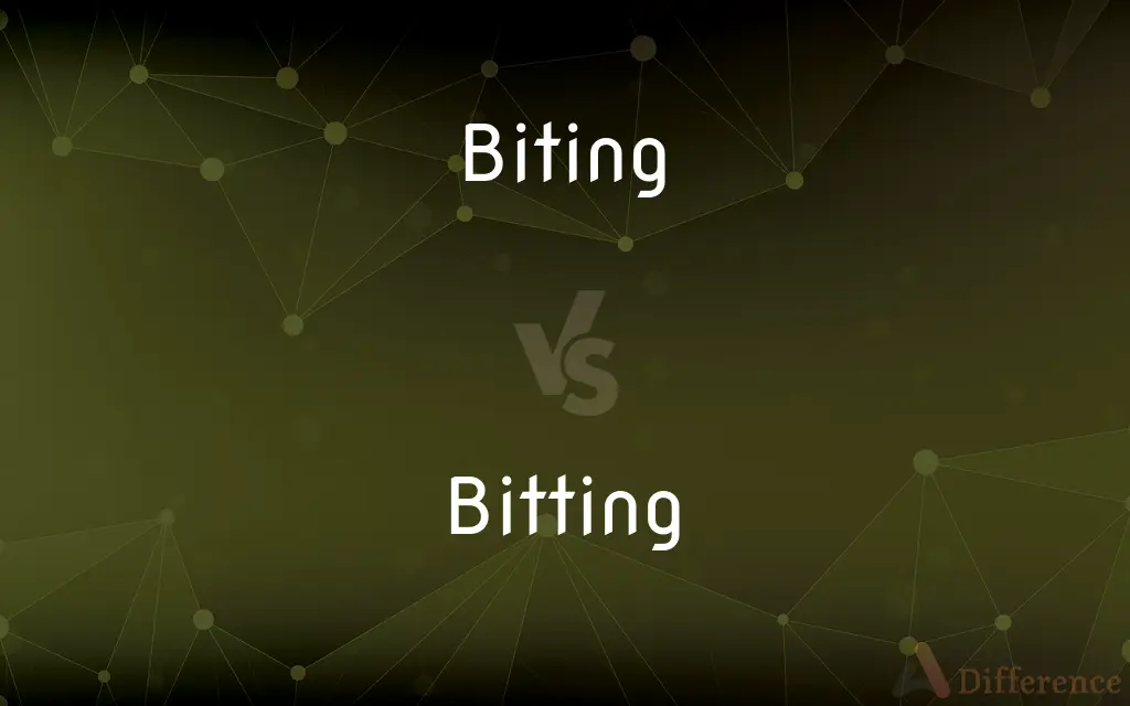 Biting vs. Bitting — What's the Difference?