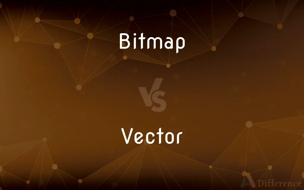 Bitmap vs. Vector — What's the Difference?
