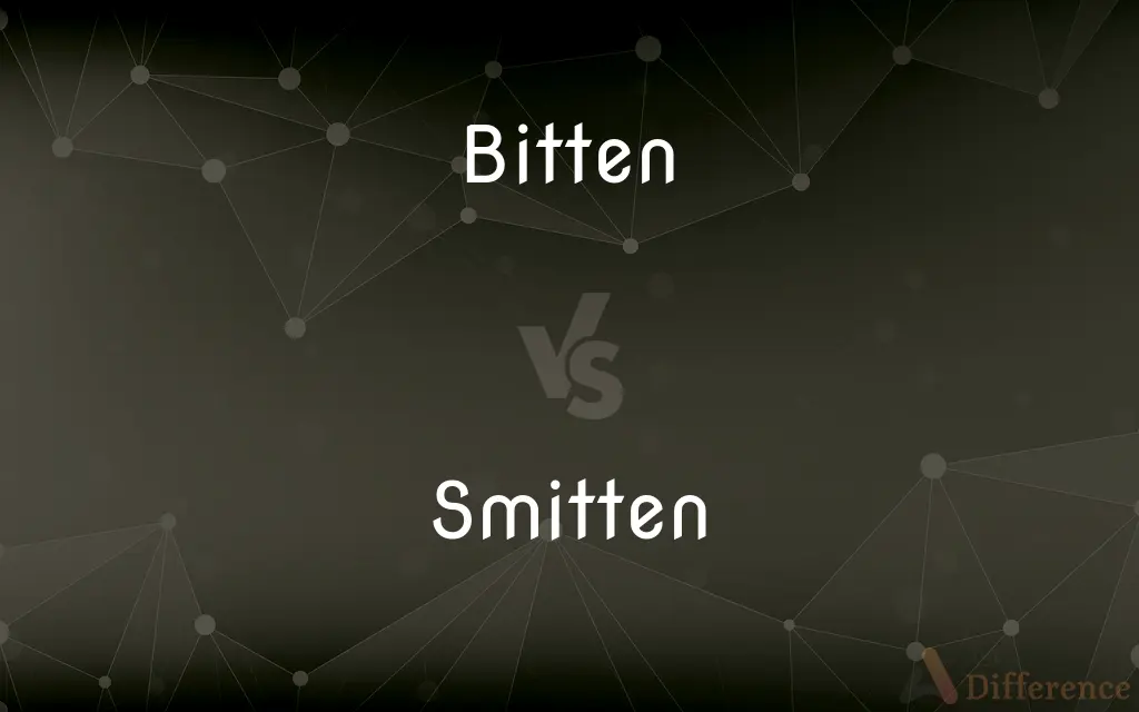 Bitten vs. Smitten — What's the Difference?