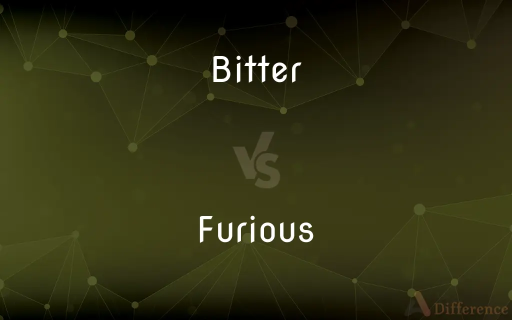 Bitter vs. Furious — What's the Difference?