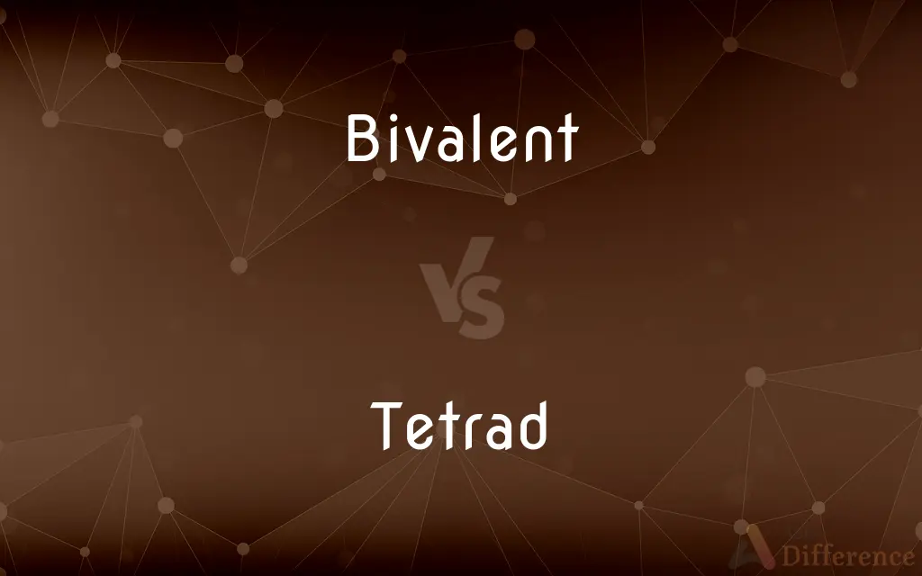 Bivalent vs. Tetrad — What's the Difference?