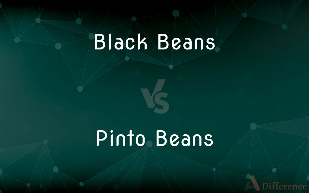 Black Beans vs. Pinto Beans — What's the Difference?
